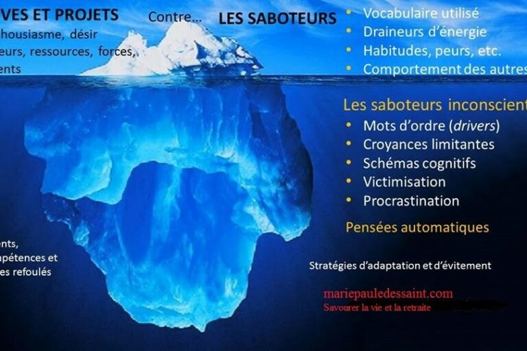 Identité et personnalité et les obstacles au changement Quelques saboteurs de nos projets et de nos rêves, pas exemple nos croyances limitantes, nos schémas cognitifs, le vocabulaire que nous utilisons, nos peurs et habitudes