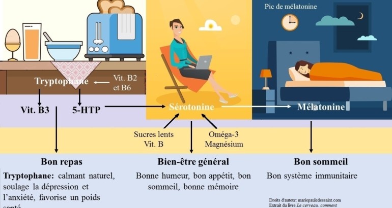 Quoi manger du matin jusqu’au soir pour ne pas avoir de coups de fatigue en fin de matinée, être concentré, de bonne humeur…