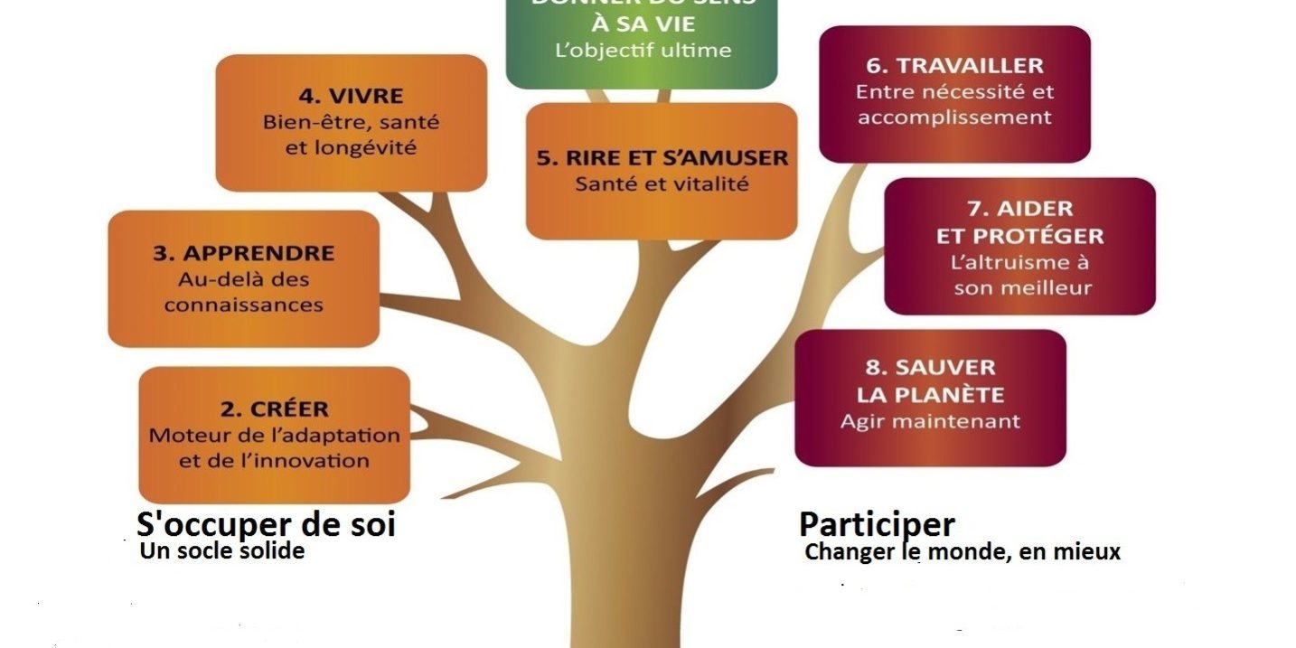 8 secteurs d’activités de retraite mariepauledessaint.com activités de retraite pour donner un sens à sa vie