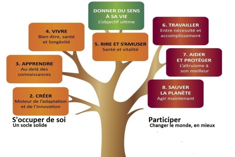 8 secteurs d’activités de retraite mariepauledessaint.com activités de retraite pour donner un sens à sa vie