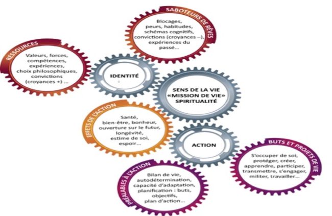 Nos choix de vie et nos actions les plus importants sont pilotés par la volonté de combler nos besoins et d'exprimer nos valeurs et nos désirs pour donner un sens à notre vie.