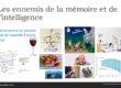 Les ennemis de la mémoire et de l'intelligence conférence de Marie-Paule Dessaint
