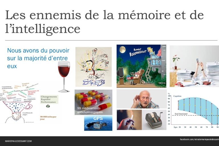 Les ennemis de la mémoire mariepauledessaint Les ennemis de la mémoire et de l'intelligence conférence de Marie-Paule Dessaint