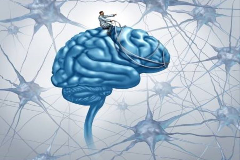 L’inhibition cognitive dirige le cerveau comme un cavalier avec son cheval mariepauledessaint.com L'inhibition cognitive empêche les automatismes, les réflexes, les habitudes, les interférences et les émotions de prendre le contrôle de nos comportements