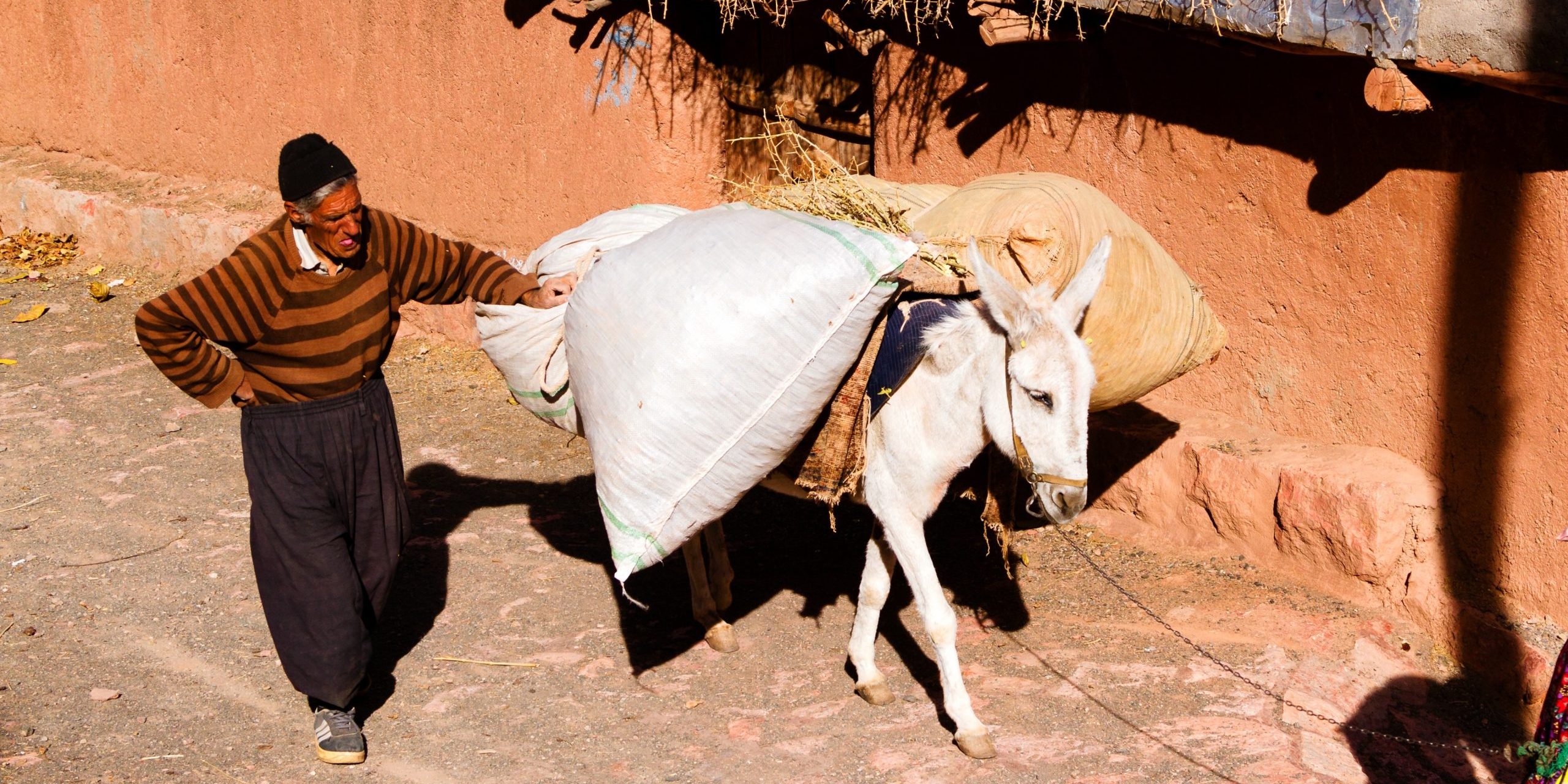 L’âne, le meunier et son fils métaphore mariepauledessaint Ne t'entoure pas de personnes qui te rabaissent. Métaphore: le meunier, son fils et l'âne mariepauledessaint