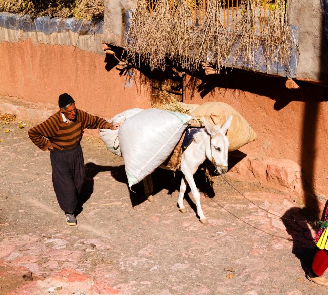 Ne t'entoure pas de personnes qui te rabaissent. Métaphore: le meunier, son fils et l'âne mariepauledessaint