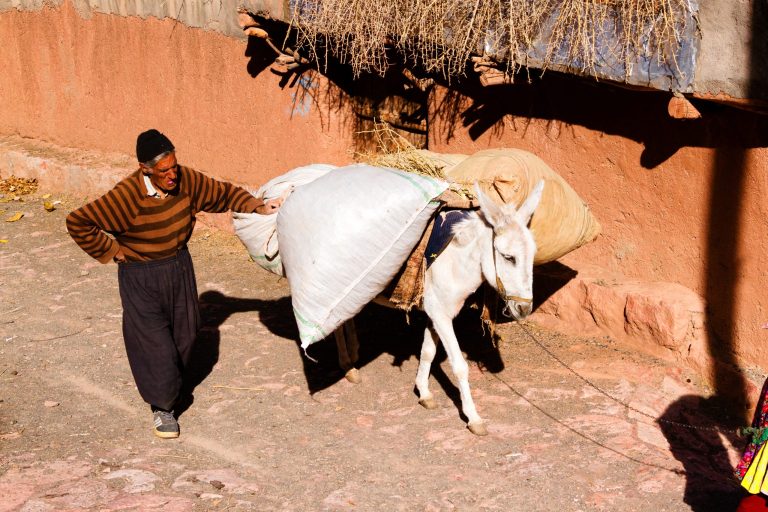 L’âne, le meunier et son fils métaphore mariepauledessaint Ne t'entoure pas de personnes qui te rabaissent. Métaphore: le meunier, son fils et l'âne mariepauledessaint
