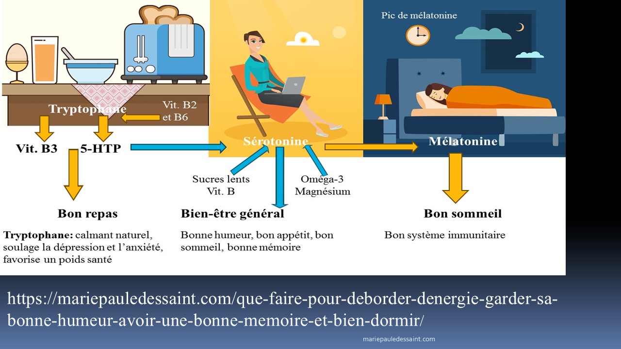 Comment fabriquer nos hormones à bonne humeur et à sommeil dès le matin?