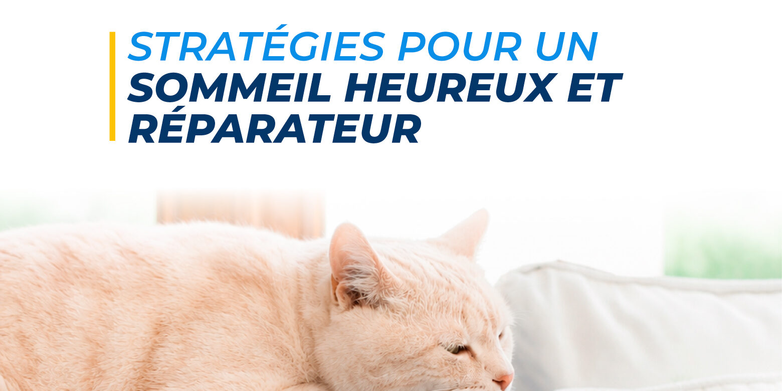 Livre. Dormir à poings fermés. Stratégies pour un sommeil heureux et réparateur mariepauledessaint